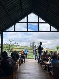 lembahmanah_kopi