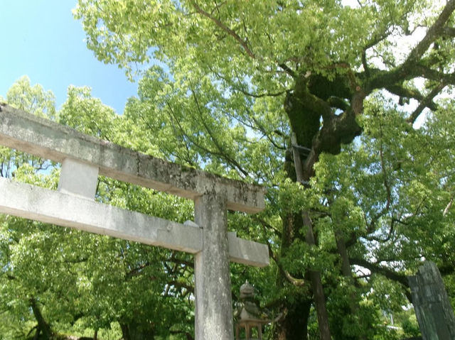 【学問の神様に願いを込めて✨】太宰府天満宮で心清らかな旅を