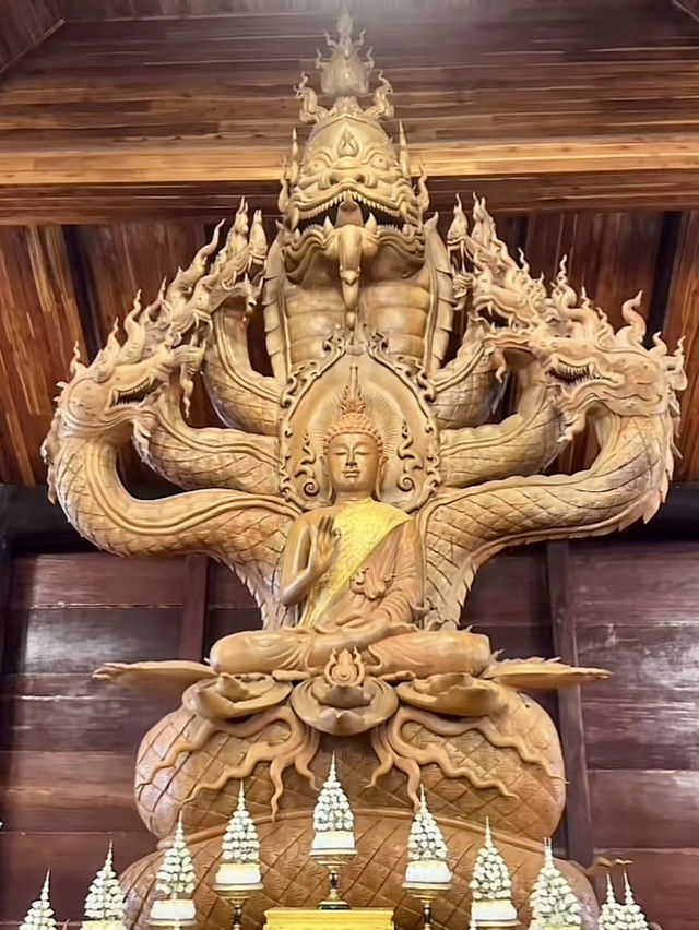 วัดป่าวังน้ำเย็น มหาสารคาม สงบงามกลางธรรมชาติ