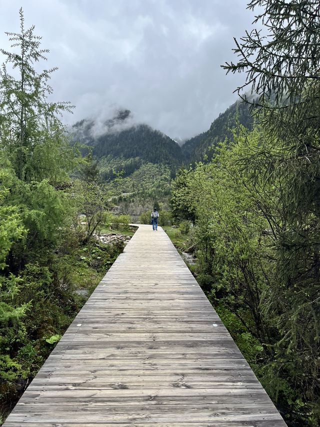 Everything You Need to Know for Visiting Shuangqiaogou at Mount Siguniang