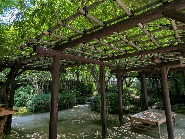 姬路 | 好古園 姬路城西御屋敷跡庭園