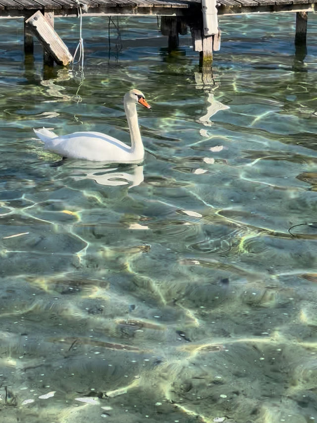 美しい湖が広がるアヌシー🇫🇷✨