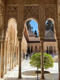 【イスラム美とスペイン文化の融合】アルハンブラ宮殿で時を超える旅へ✨