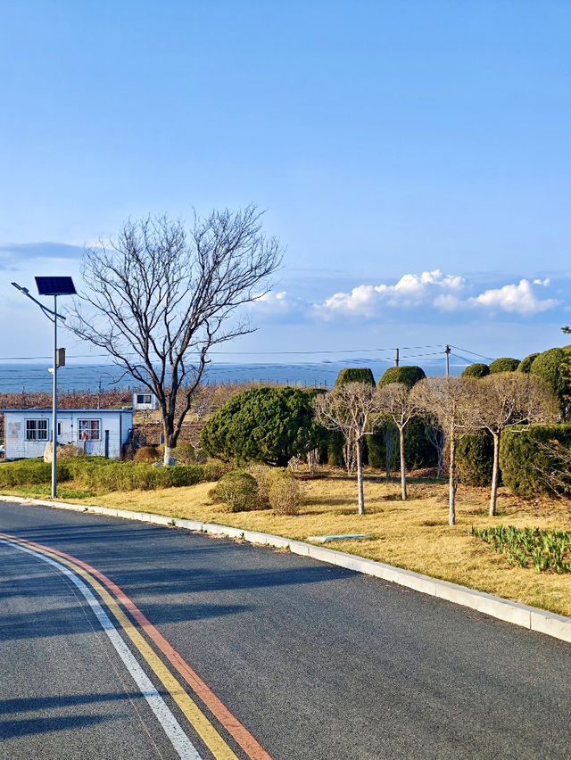 🌅 大連泊霞灣海岸攻略