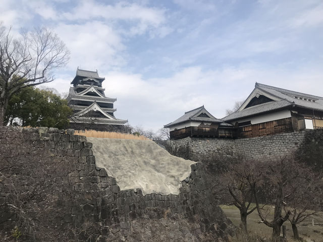 日本三名城-熊本城（地震重建中）
