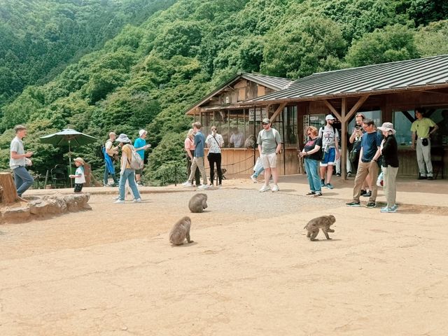 Buddhist temple in Uji