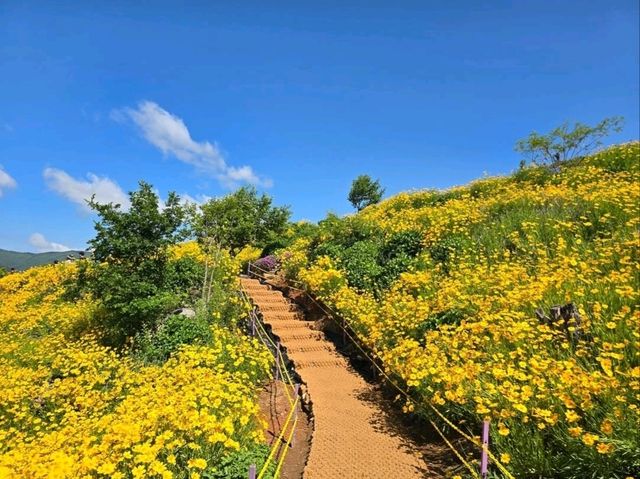 Flower Vibes at Jisepo