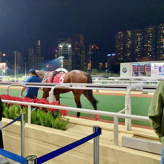 跑馬地馬場：香港賽馬經典熱鬧體驗 🏇🏻
