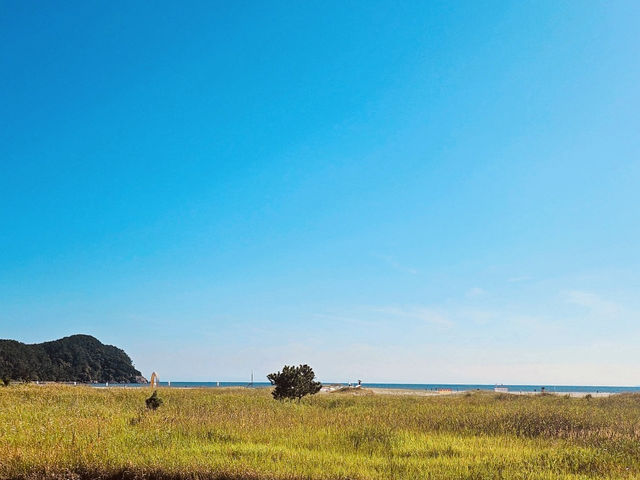 Dadaepo Beach Park, Busan: A Spacious Coastal Oasis for Families and Nature Lovers