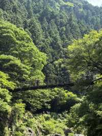  自然と歴史が調和する🌉「雲仙橋」で癒しのひとときを🚶‍♀️