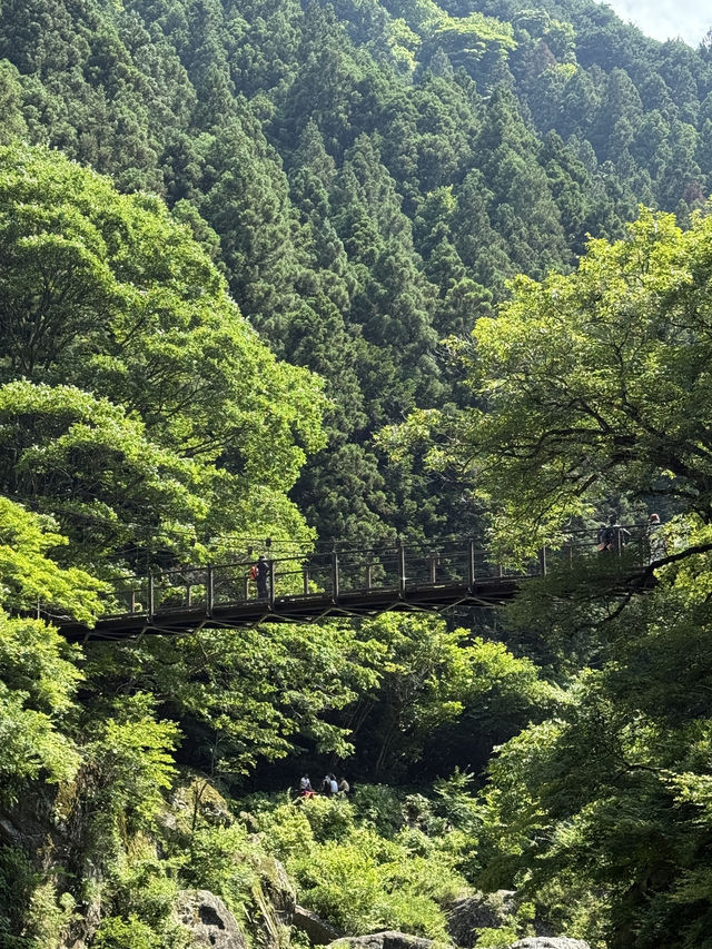  自然と歴史が調和する🌉「雲仙橋」で癒しのひとときを🚶‍♀️