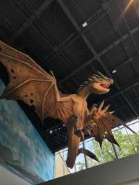 Harry Potter Studio 