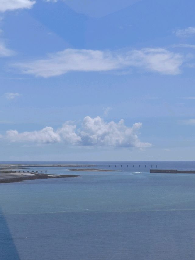 🚢 MSC郵輪五天四夜心得｜基隆→石垣島→沖繩→回基隆