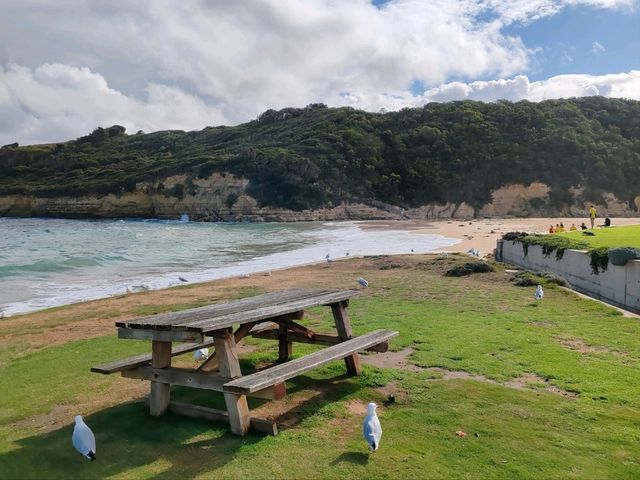 坎贝尔港（Port Campbell）—大洋路上的悠闲小镇
