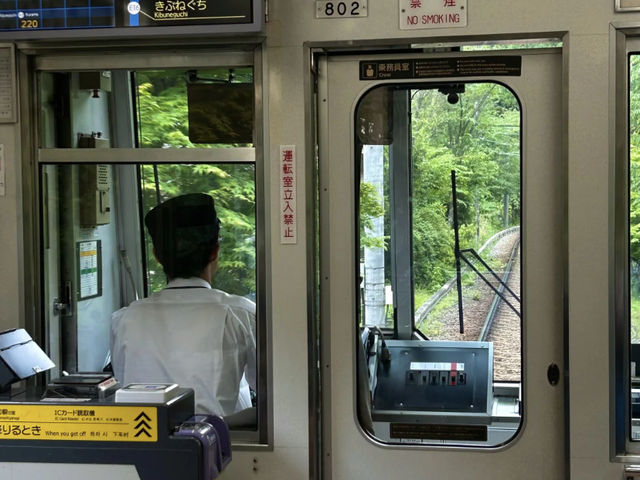 Eizan Electric Railway: My Journey on the "Train to the Green Forest"! 🌳🚃