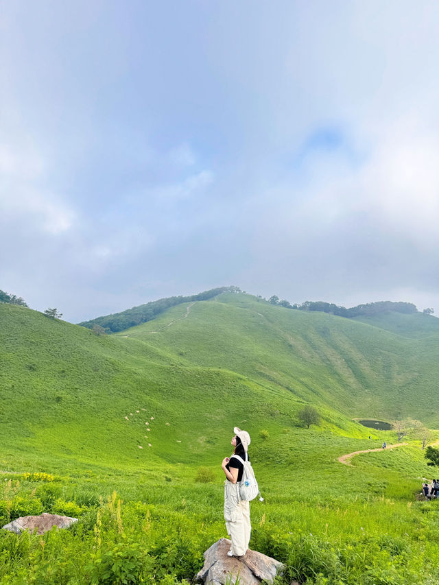 Leo núi Mindungsan (민둥산) tại Hàn Quốc