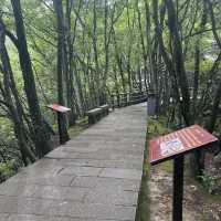 Rainy Days in Zhangjiajie