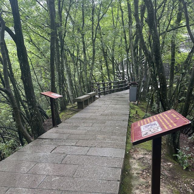 Rainy Days in Zhangjiajie