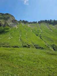 Brienzer Rothorn Steam Train