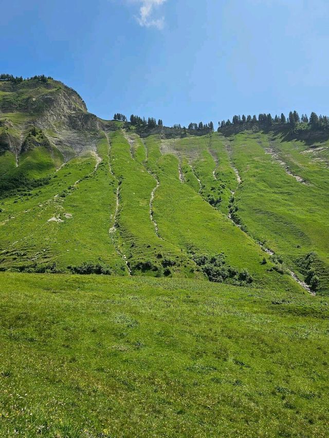 Brienzer Rothorn Steam Train