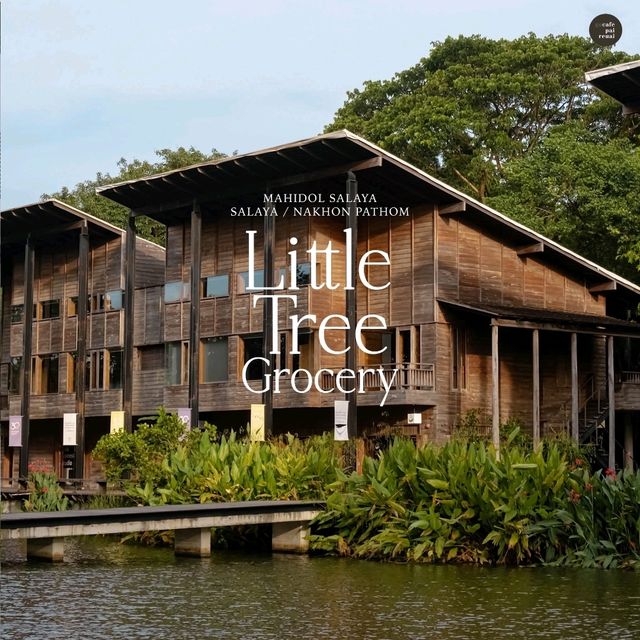 Little Tree Grocery 🥤🥯🍃
