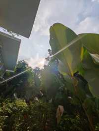 The Hidden Resort & Restaurant รีสอร์ทลับในป่า