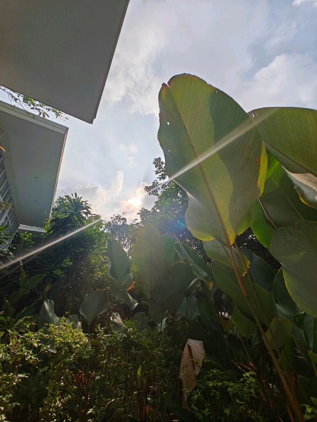 The Hidden Resort & Restaurant รีสอร์ทลับในป่า
