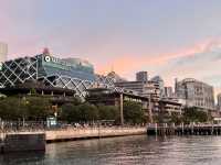 호주 시드니 페리 선셋 최적의 루프 Pyrmont Bay - Circular Quay
