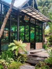 อเมซอนคาเฟ่ที่สวยเหมือนป่าจริง
