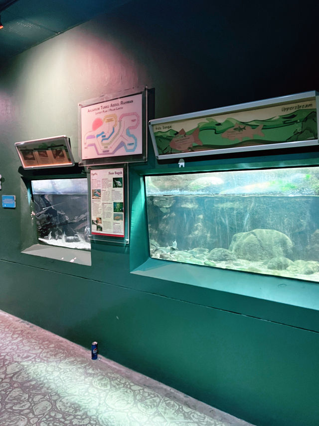 “Explore Malaysia’s Aquatic Wonders at Akuarium Negara”