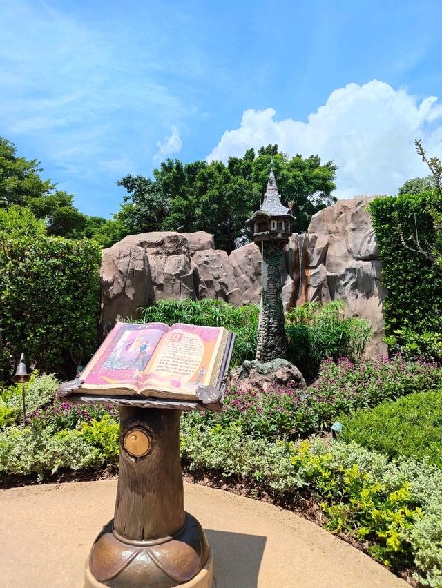 เที่ยว fairy taile forest ป่าในเทพนิยาย