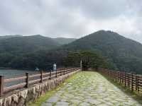부산 근교 양산에 있는 피톤치드 가득한 산책로🍃