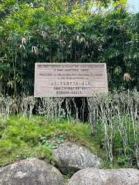 🌸 Japanese Village (Bukit Tinggi) – A Serene Stop En Route to Genting