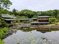 名古屋 | 白鳥庭園，是東海地區規模最大的都市庭園