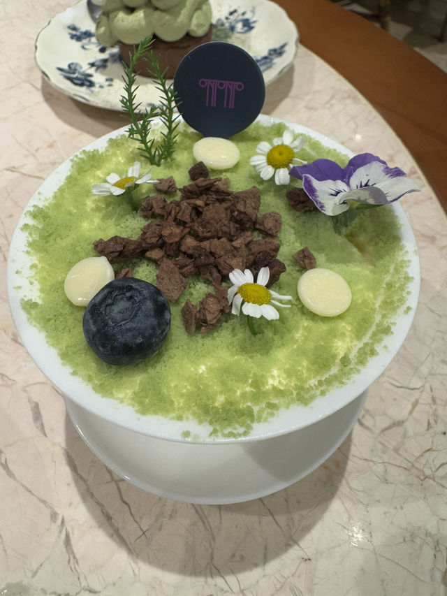 好靚嘅環境🌷🌹🪻🌻🌼🌸🌺💐