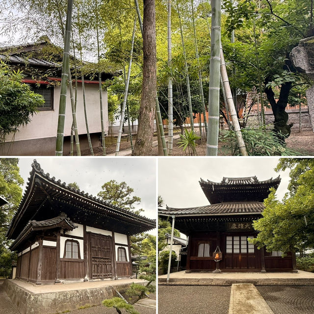 【大分】和の美✨大分駅から歩いて行ける美しいお寺2選✨