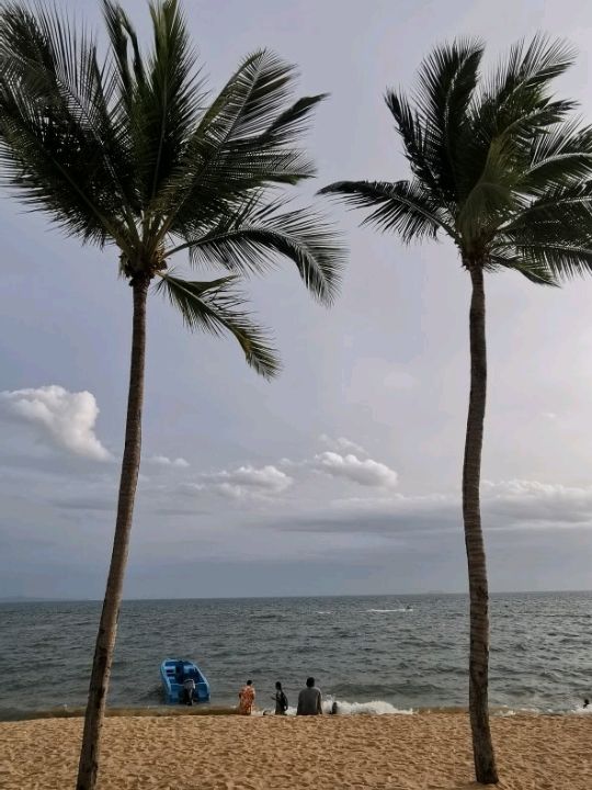 🌧️⛈️ Storm Incoming at the Beach – Nature’s Raw Beauty!