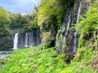 Whispers of Water: Shiraito Falls in Fujinomiya