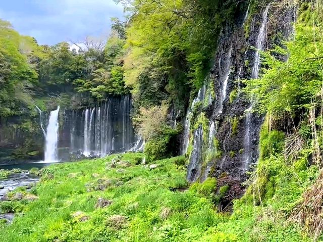 Whispers of Water: Shiraito Falls in Fujinomiya