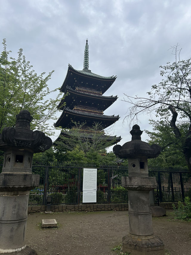 สวนอุเอโนะ (Ueno Park)