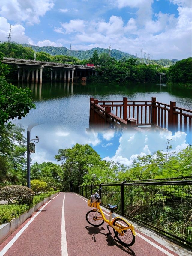 深圳銀湖山郊野公園 • 徒步、騎行