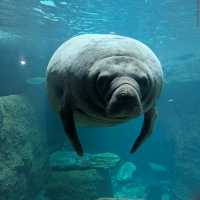 Dallas World Aquarium