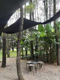 Teduh Coffee