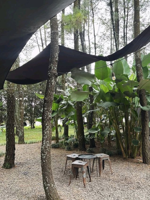 Teduh Coffee