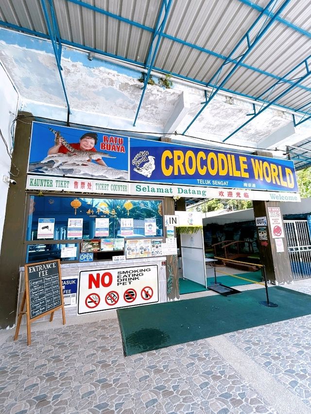 Croc Spotting at Teluk Sengat Crocodile Farm