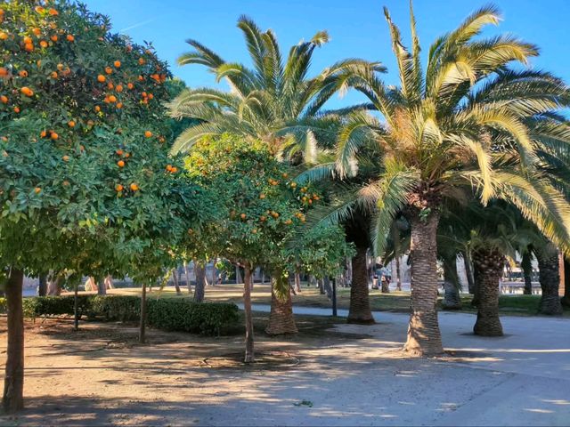 Turia Gardens