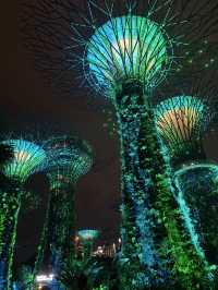 An Unforgettable Night at Supertree Grove 