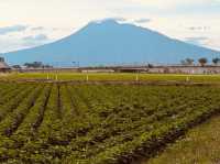 Mt. Iwaki Diary: A Solo Hiker's Spiritual Journey in Aomori** ⛰️🌸