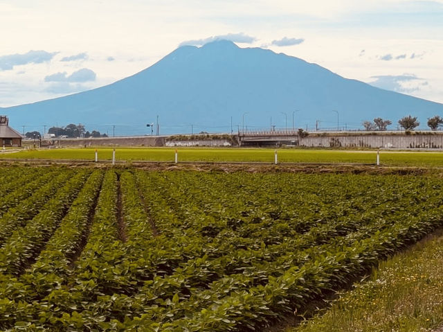 Mt. Iwaki Diary: A Solo Hiker's Spiritual Journey in Aomori** ⛰️🌸