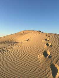Sahara’s Holy Trinity: Fire, Gold And Stardust